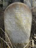 image of grave number 295617